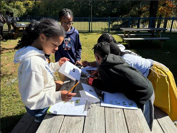 Fueling Success Through Science Discoveries